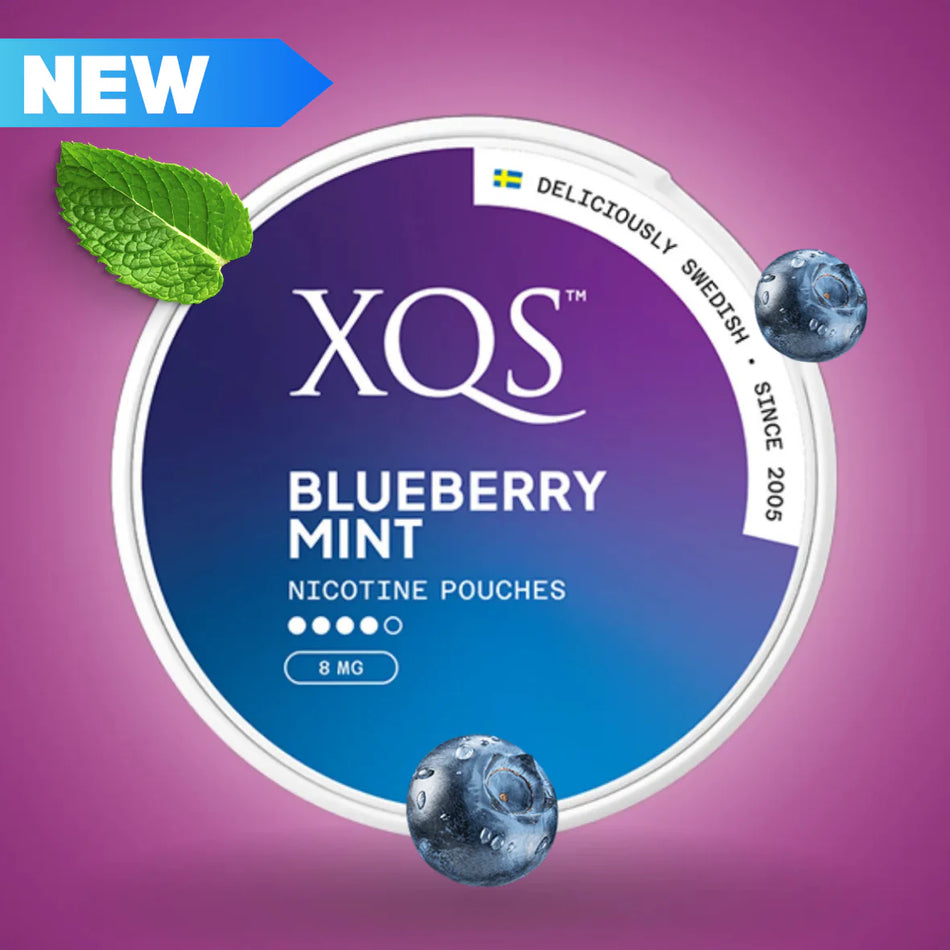 Blueberry Mint Nicotine Pouches by XQS (8mg)